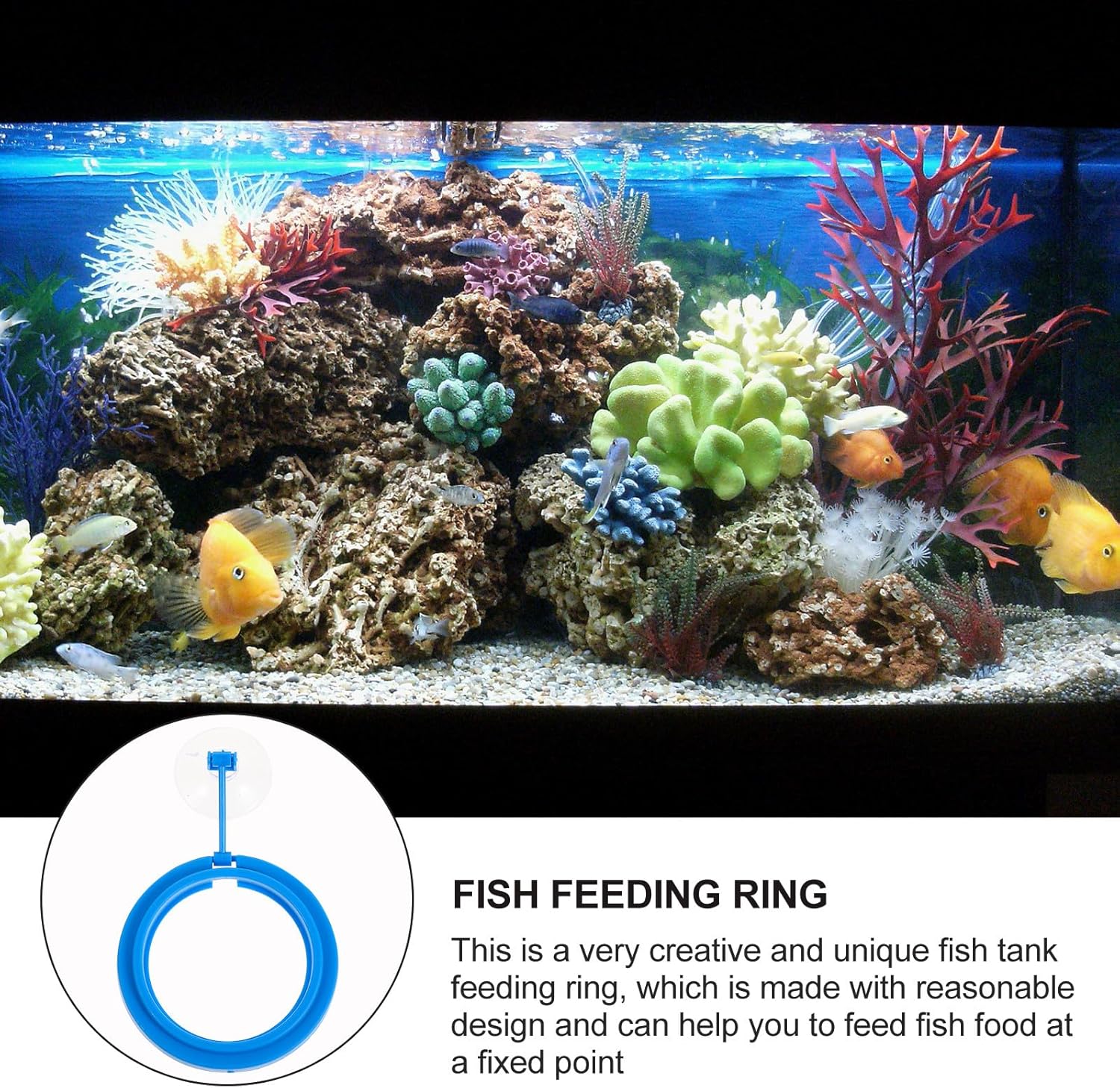 SUPVOX 3pcs Floating Fish Feeder Feeding Ring Fish Tank Supplies Blue Plastic Aquarium Accessory for Controlled Pellet Food Dispensing - Happypetzone.online - Image 3