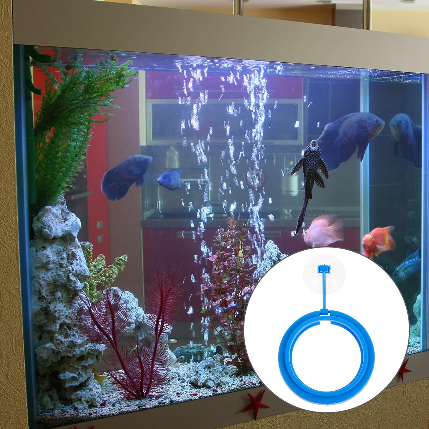 SUPVOX 3pcs Floating Fish Feeder Feeding Ring Fish Tank Supplies Blue Plastic Aquarium Accessory for Controlled Pellet Food Dispensing - Happypetzone.online - Image 7