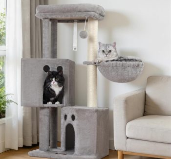 cat tree for multiple cats