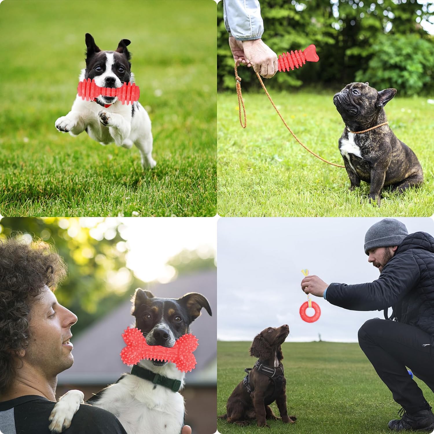 6 Pack Red Dog Chew Toys, Small Dog Teething Toys, Dental Health & Interactive Play - Happypetzone.online - Image 7