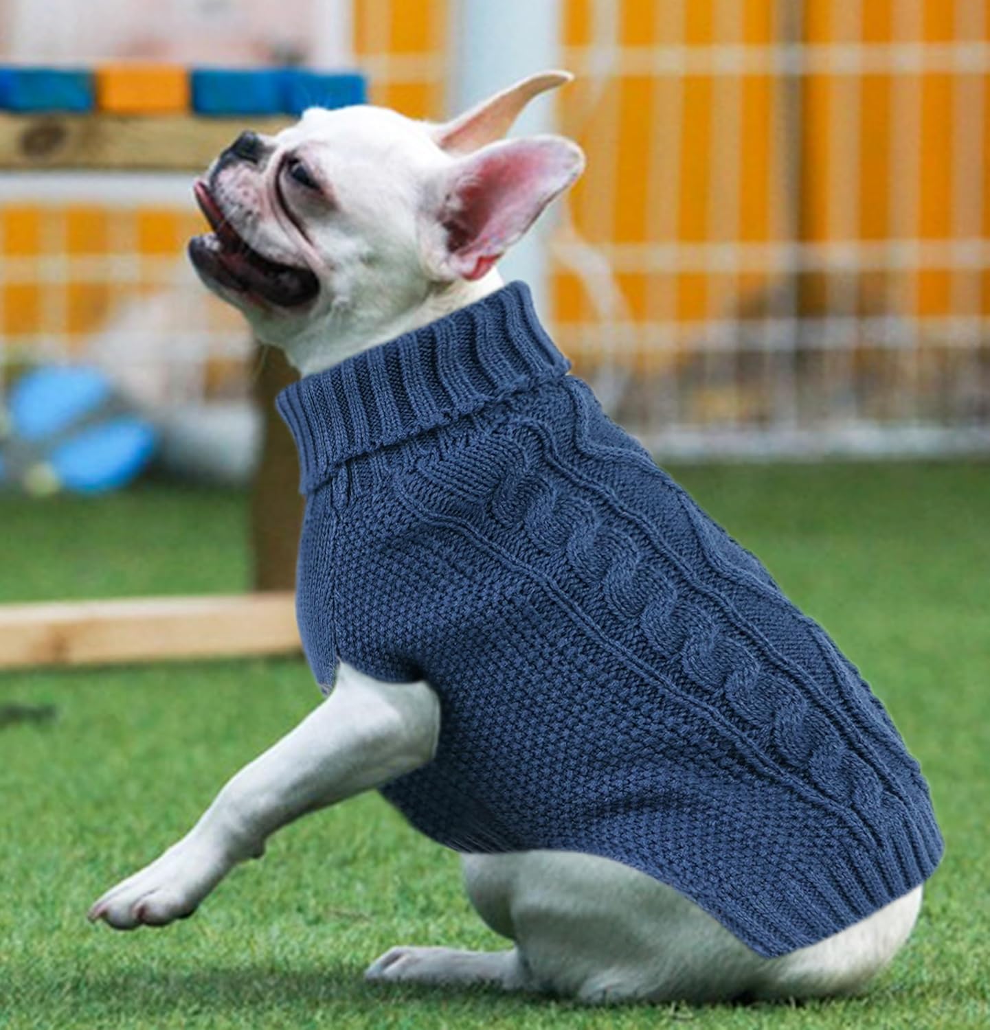 Dog Sweaters for Small Dogs XS Dog Sweater Winter Dog Clothes Boy Chihuahua Yorkie Sweater Warm Pet Clothes Knitted Solid Puppy Sweater Cat Sweater Doggy Turtleneck for Cold Weather (Blue, X-Small) - Happypetzone.online - Image 4