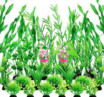 fish tank decorations plants
