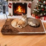 heated dog bed winter