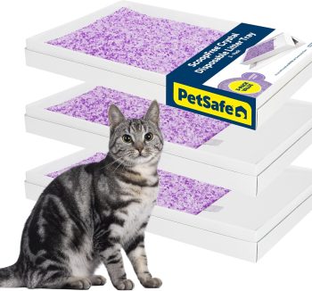 small pet litter safe