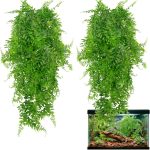 reptile accessories amazon best