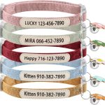 cat collar personalized