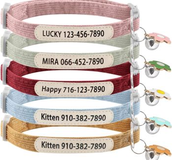 cat collar personalized
