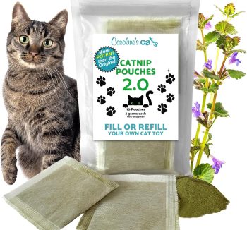 organic cat treats