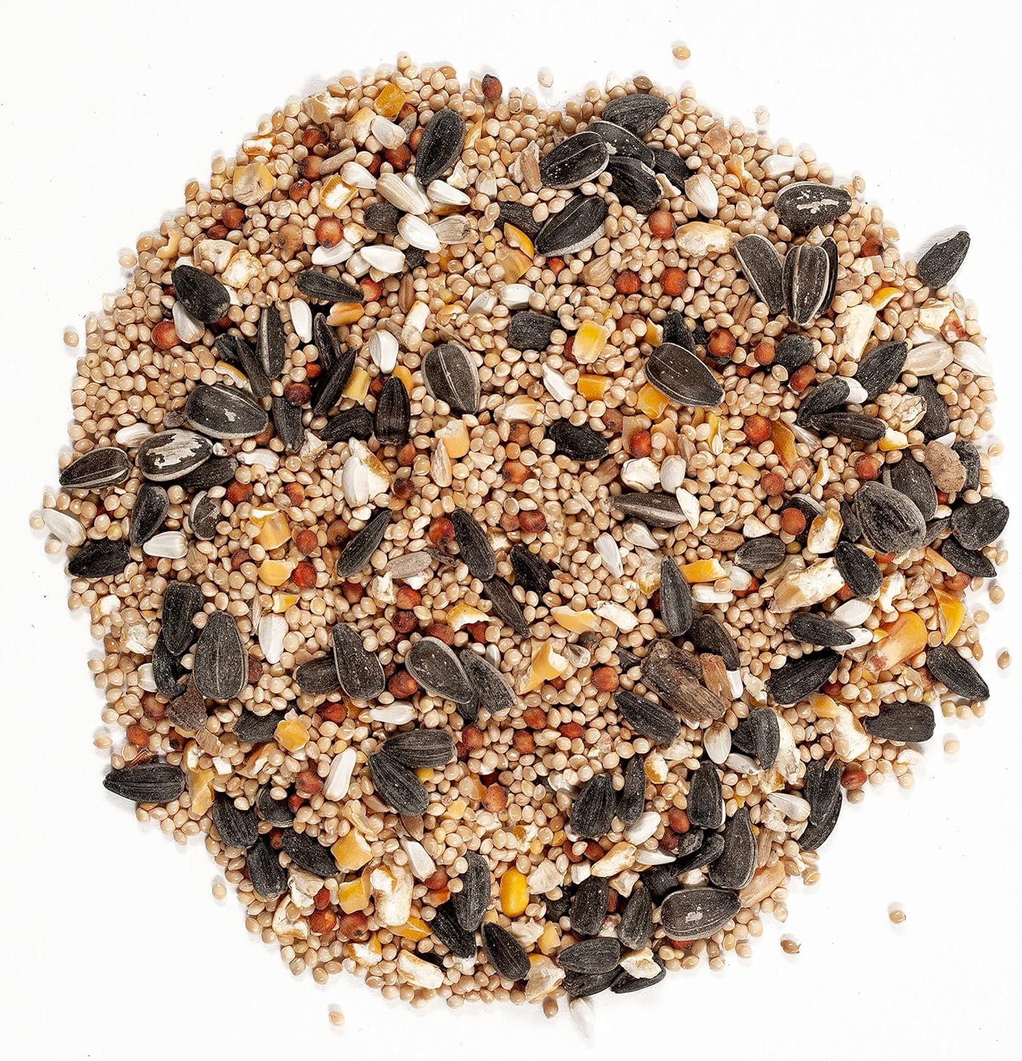 Wagner's 62004 Eastern Regional Wild Bird Food, 20-Pound Bag - Happypetzone.online - Image 3