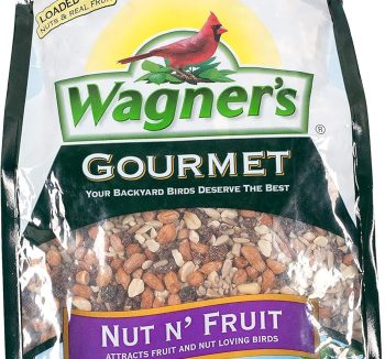 best bird food
