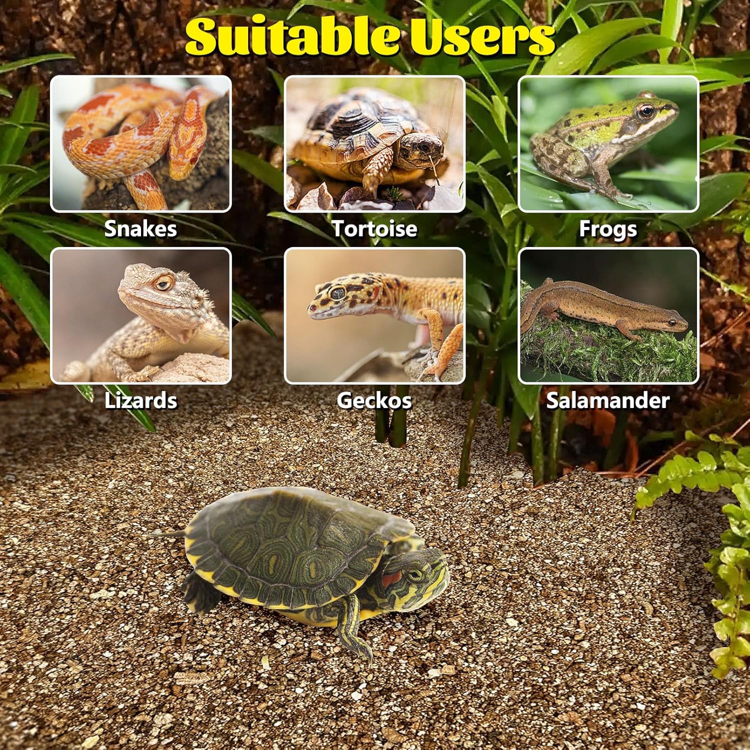 Hamiledyi Vermiculite for Incubating Reptile Eggs Terrarium Bedding Snake Habitat Substrate Reptile Bedding for Tortoise, Gecko, Ball Python, Salamander, Snake, Horned Frog(2Pack,0.87gal) - Happypetzone.online - Image 6
