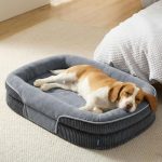 orthopedic dog bed