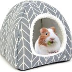 rabbit cage indoor