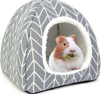 rabbit cage indoor