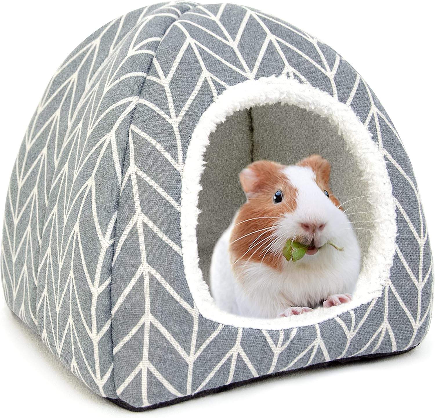 rabbit cage indoor