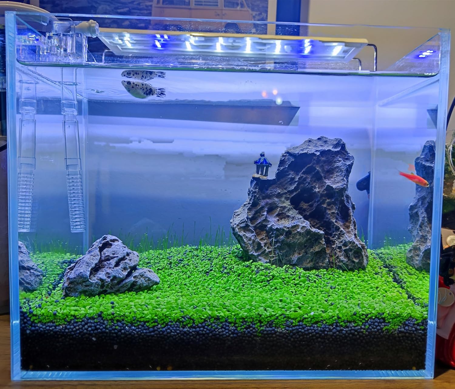 3 Aquarium Plants Set, (0.36ozTiny+0.36oz Long+0.36oz Short) Fresh Water Replacement for artificial, not Plastic, 3 types (0.36ozTiny+0.36oz Long+0.36oz Short) 28ABC, Green - Happypetzone.online - Image 4