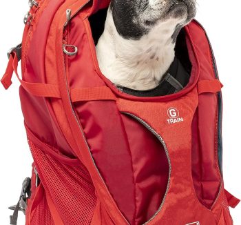 dog carrier backpack