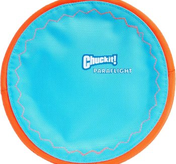 best dog toys
