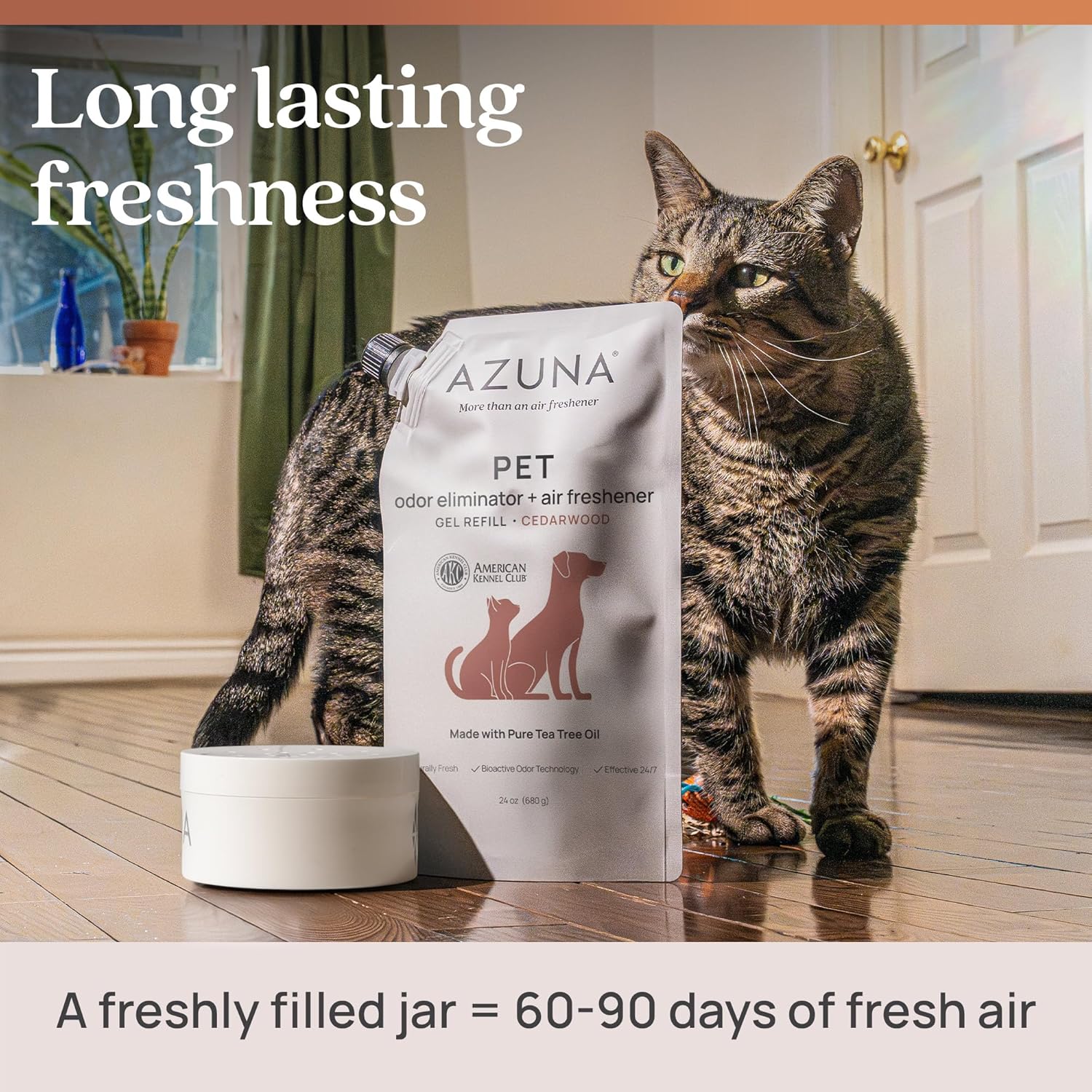 Azuna Pet Odor Eliminator for Strong Odor Gel | Plant Powered Australian Tea Tree Oil | Dog and Cat Room Deodorizer | Child and Pet Safe Air Fresheners for home | Cedarwood Scent | 8oz Pod - Happypetzone.online - Image 7