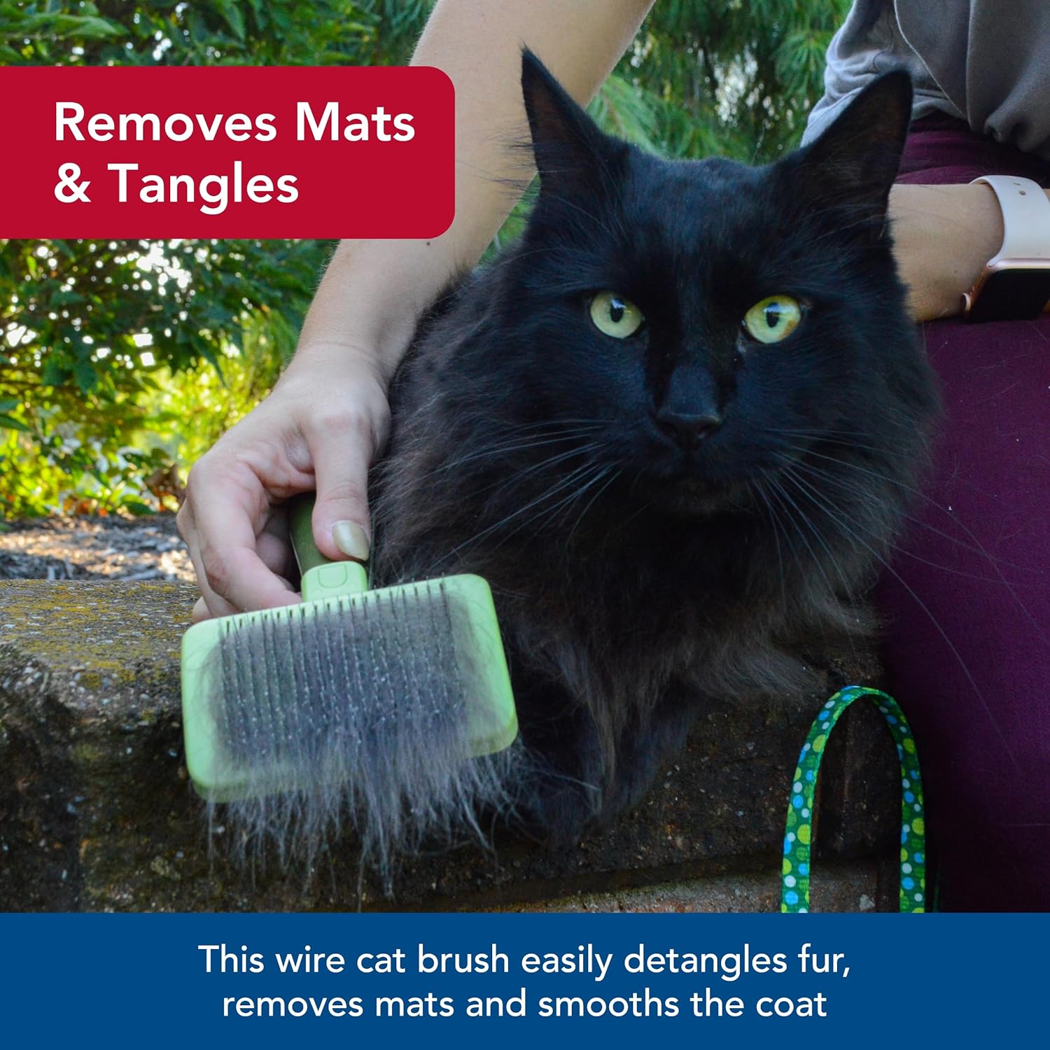 Coastal Pet Safari - Cat Self-Cleaning Slicker Brush - Cat Grooming Supplies - Happypetzone.online - Image 4