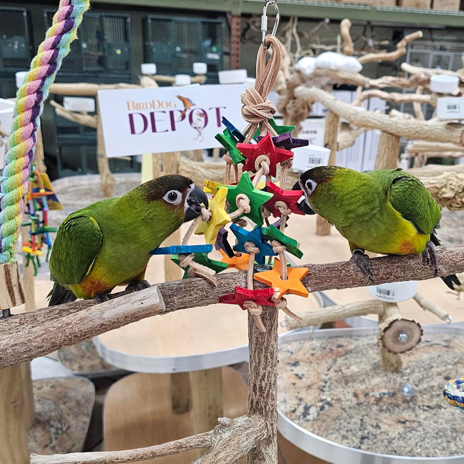 Birds LOVE Wood Stars & Leather Toy for Bird Cage Stand or Playgym, Bird Toys for Small to Medium Parrots, Sun Conures, Green Cheeked Conures, Quakers, Parakeets, Caiques, Cockatiels, African Senegals - Happypetzone.online - Image 3