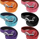 dog leash set