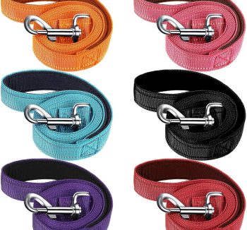 dog leash set