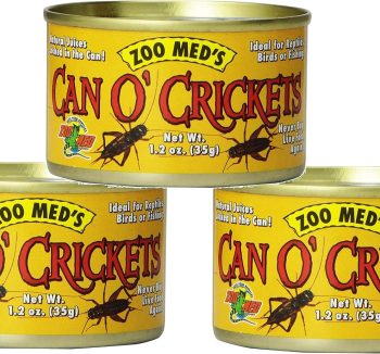 crickets for reptiles