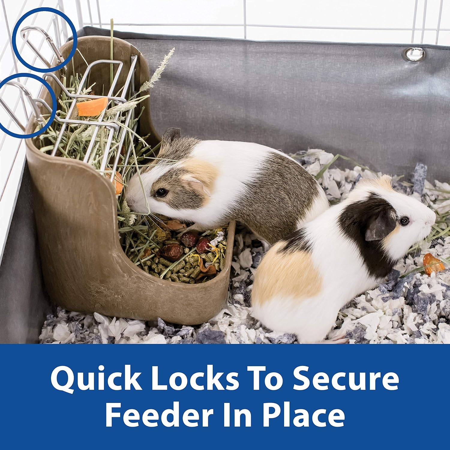 Kaytee Hay & Food Bin Feeder With Quick Locks For Pet Rabbits, Chinchillas, Guinea Pigs and Other Small Animals - Happypetzone.online - Image 5