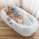 luxury dog bed