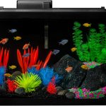 fish tank aquarium