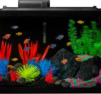 fish tank aquarium
