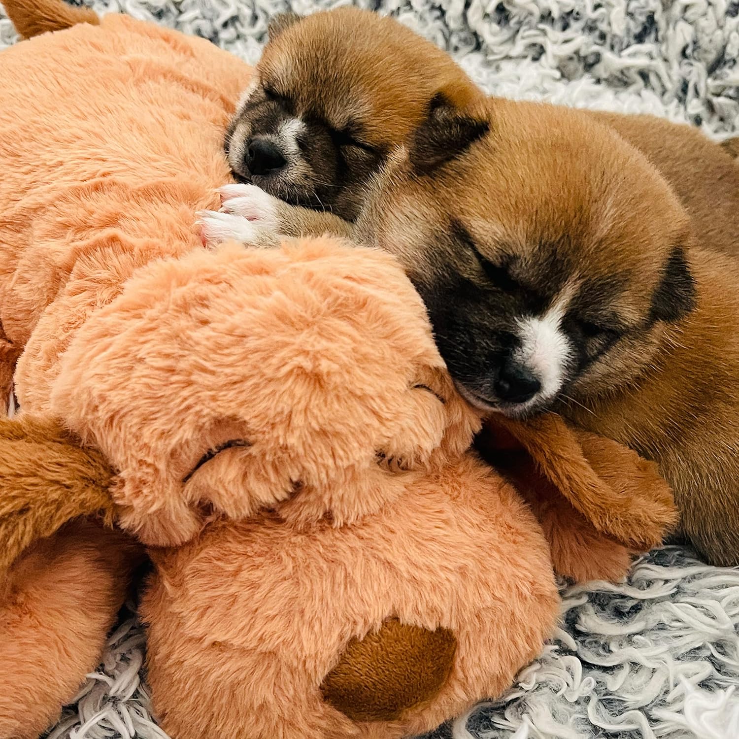 Snuggle Puppy Original Heartbeat Puppy Toy with Real-Feel Pulse & Heat Pack, Calming Sleep Aid for Puppy Anxiety, Crate Training, First Nights & New Puppy Transition - Biscuit - Happypetzone.online - Image 7