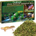 reptile bedding natural
