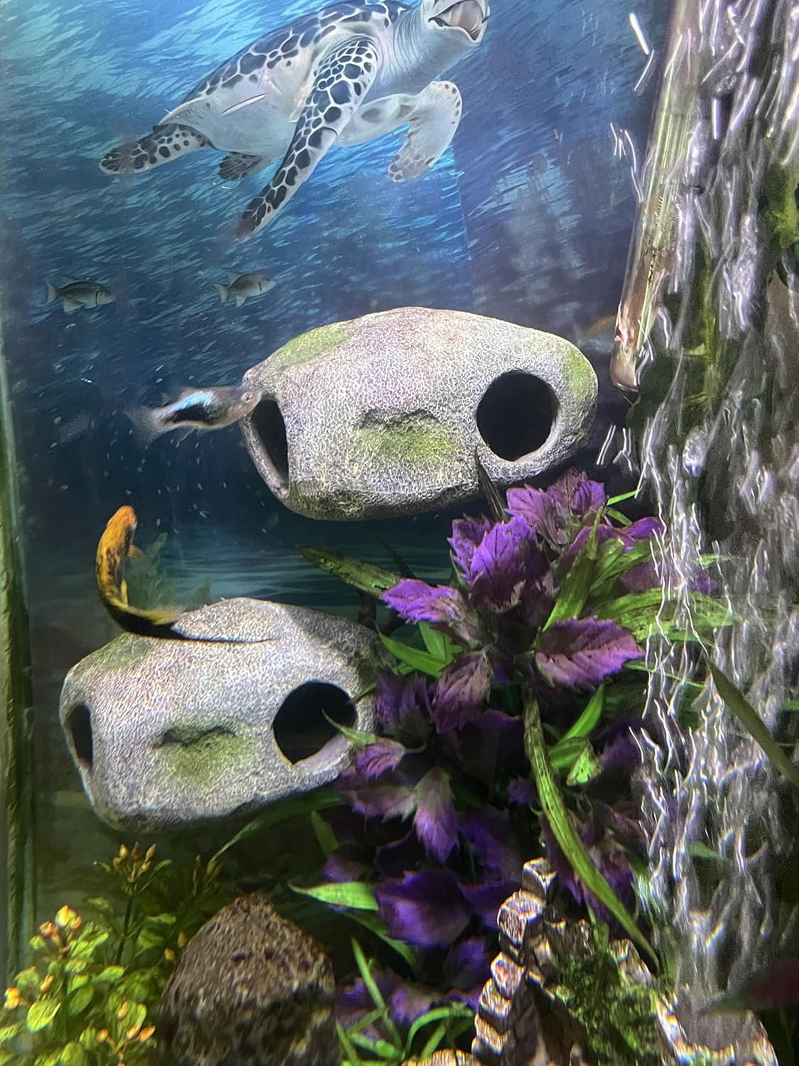 Aquarium Decor Magnetic Rock Cave Ornament – Wall-Mounted Fish Tank Accessory - Happypetzone.online - Image 3