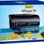best filter for aquarium