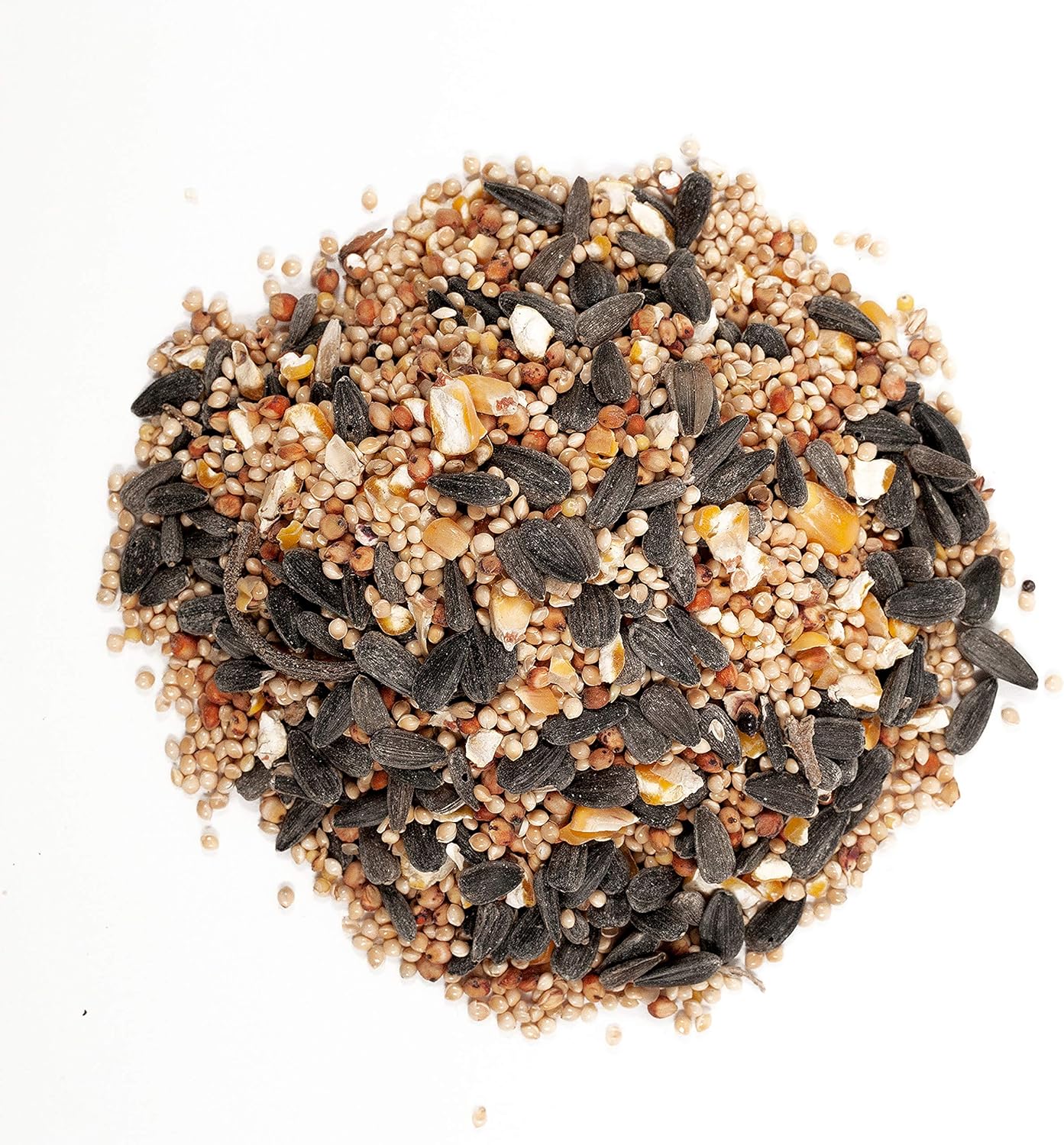 Wagner's 52003 Classic Blend Wild Bird Food, 6-Pound Bag - Happypetzone.online - Image 3
