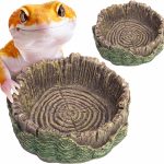 reptile feeding dish