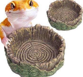 reptile feeding dish