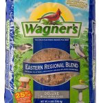 bird seed mix