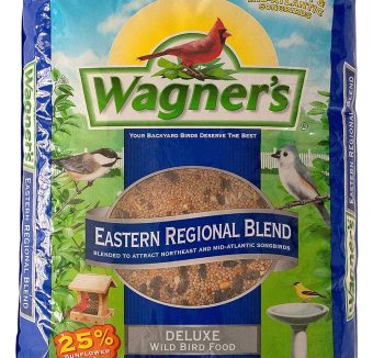 bird seed mix