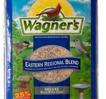 bird seed mix