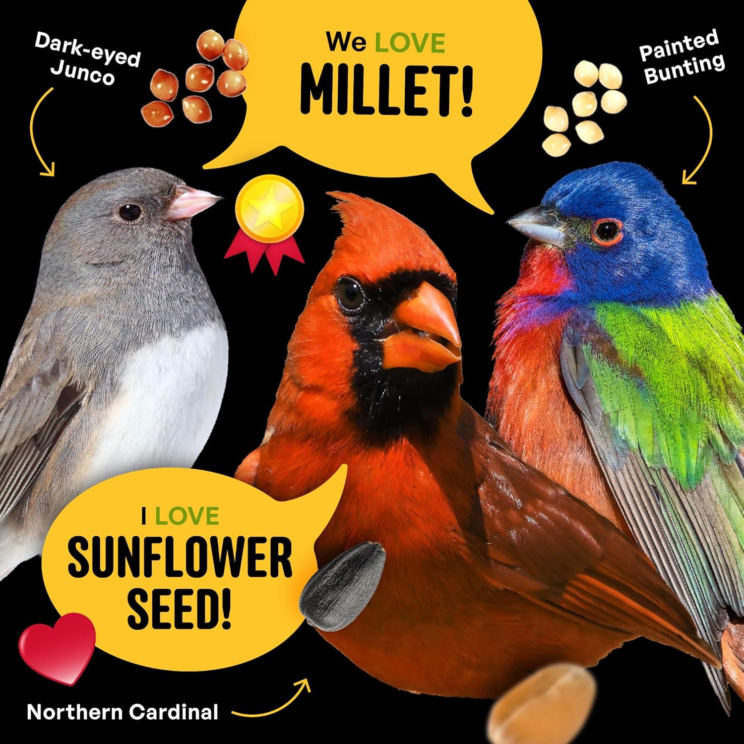 Cool Birds All Birds Wild Bird Seed – 10 lb. Classic Blend with Black Oil Sunflower, White Millet, Safflower, Peanuts & Sunflower Hearts – Balanced Bird Food for Outside Feeders - Happypetzone.online - Image 6