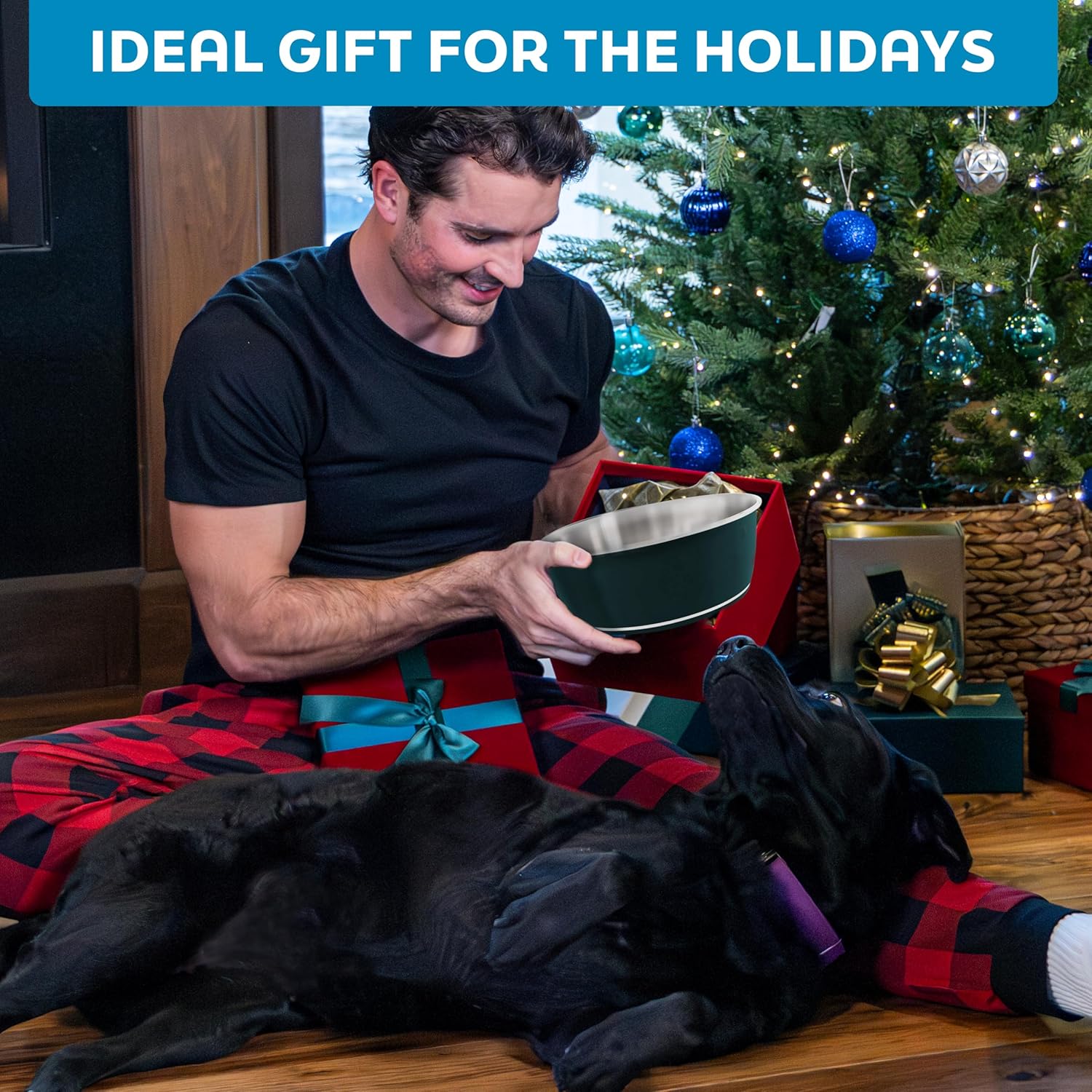 Master Pet Supply Stainless Steel Dog Bowls Set of 2 (32 Oz Each) with Non-Slip Rubber Base - Black Velvet - Basic Dog Food Bowl Water & Food Bowls for Small Medium Large Dogs & Cats, Metal Dish - Happypetzone.online - Image 8