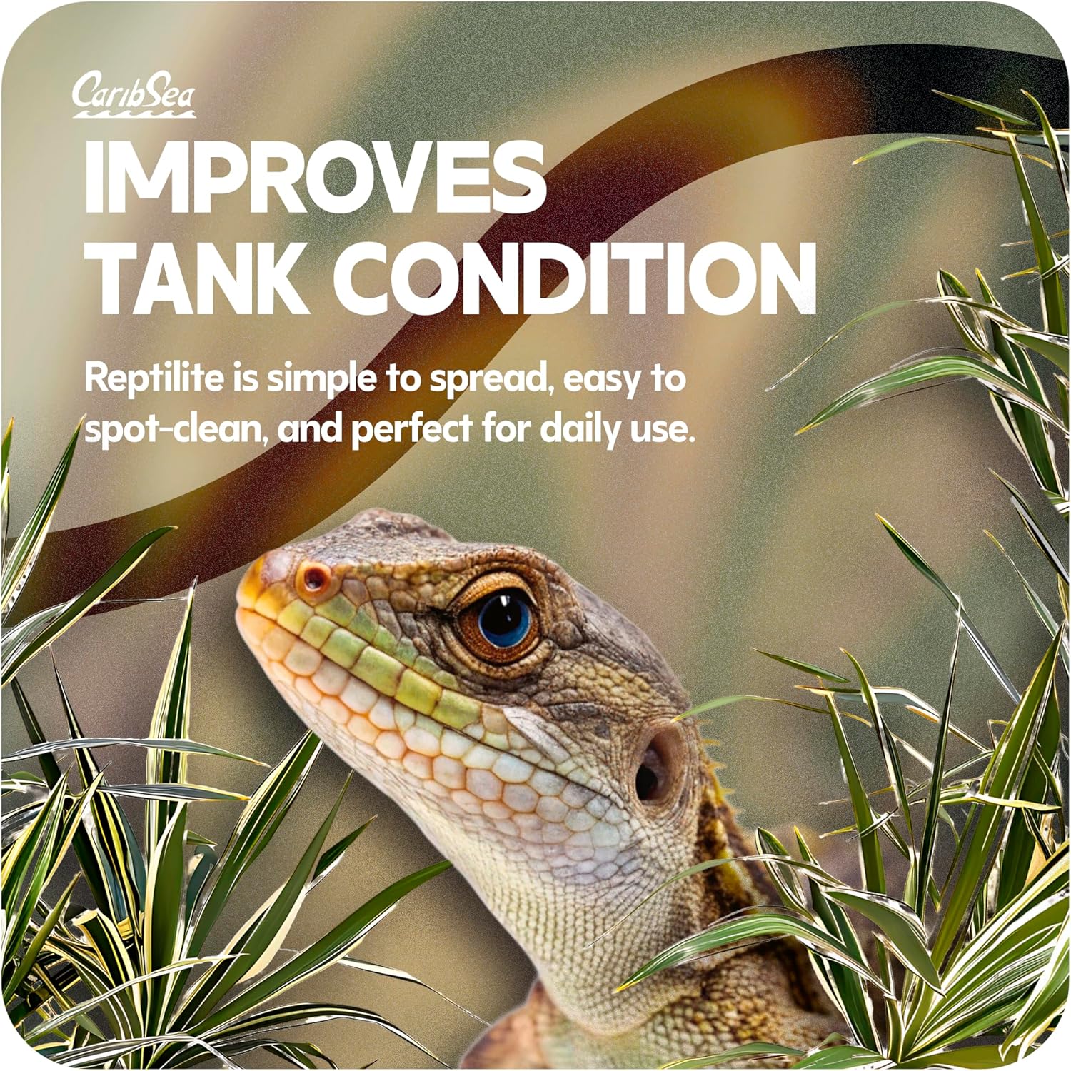 CaribSea Reptiles Calcium Substrate Sand - 20 lb Each - Natural White Sand for Reptile Terrariums, Promotes Healthy Habitat & Optimal Calcium Levels (Pack of 2) - Happypetzone.online - Image 7