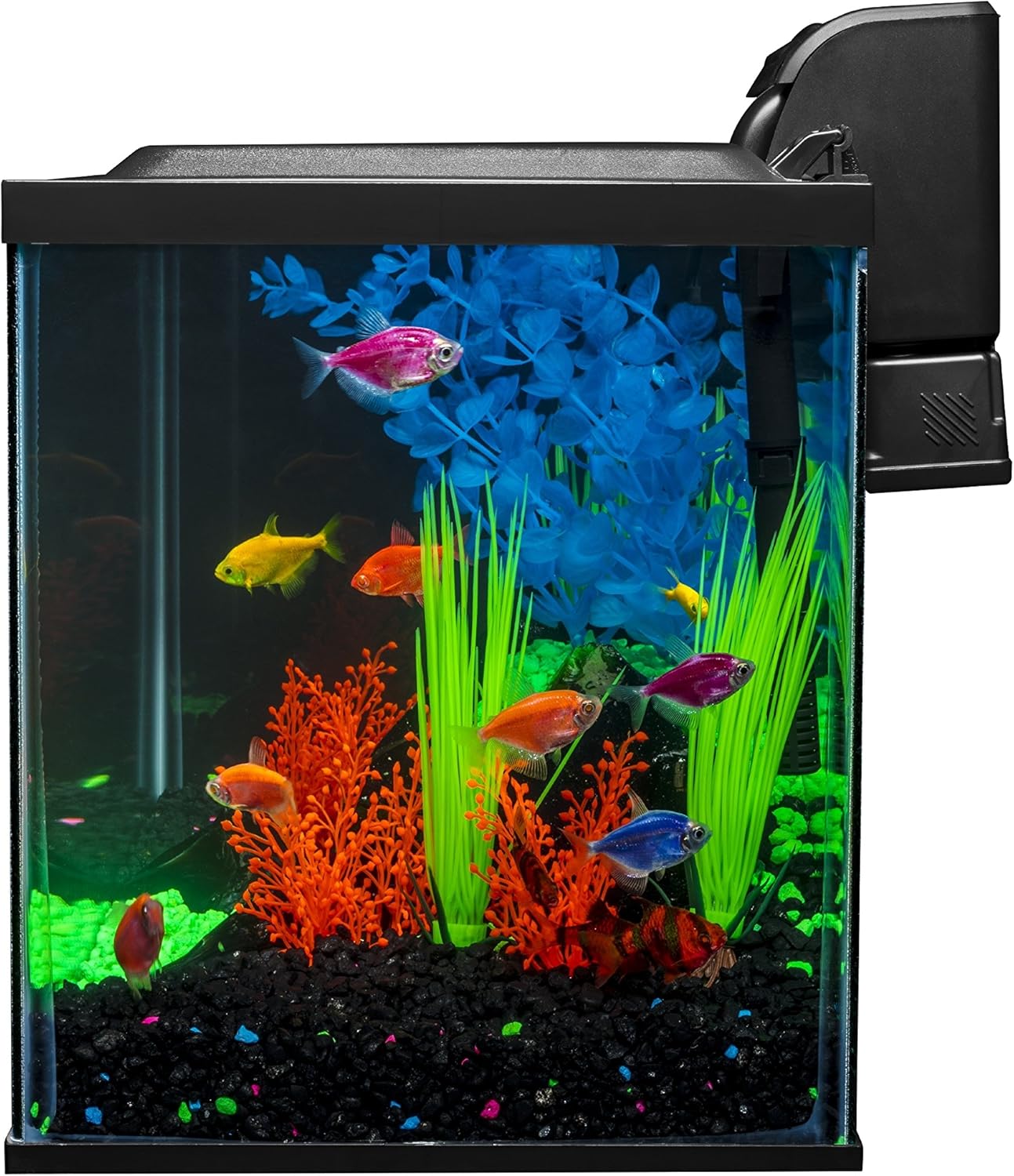 Glofish 10 Gallon Aquarium Fish Tank Kits, Includes LED Lighting and Décor (Amazon Exclusive) - Happypetzone.online - Image 6