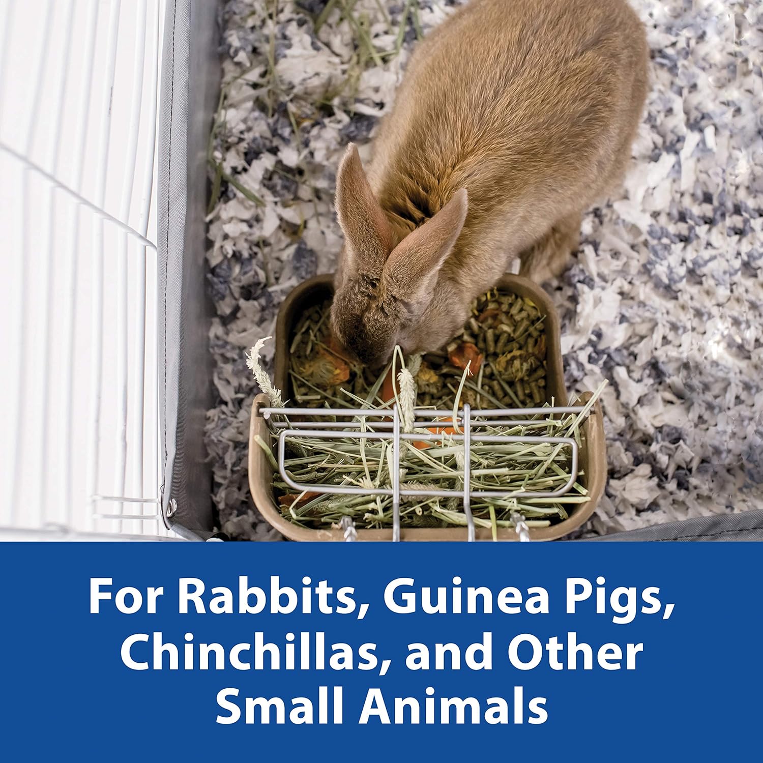 Kaytee Hay & Food Bin Feeder With Quick Locks For Pet Rabbits, Chinchillas, Guinea Pigs and Other Small Animals - Happypetzone.online - Image 4