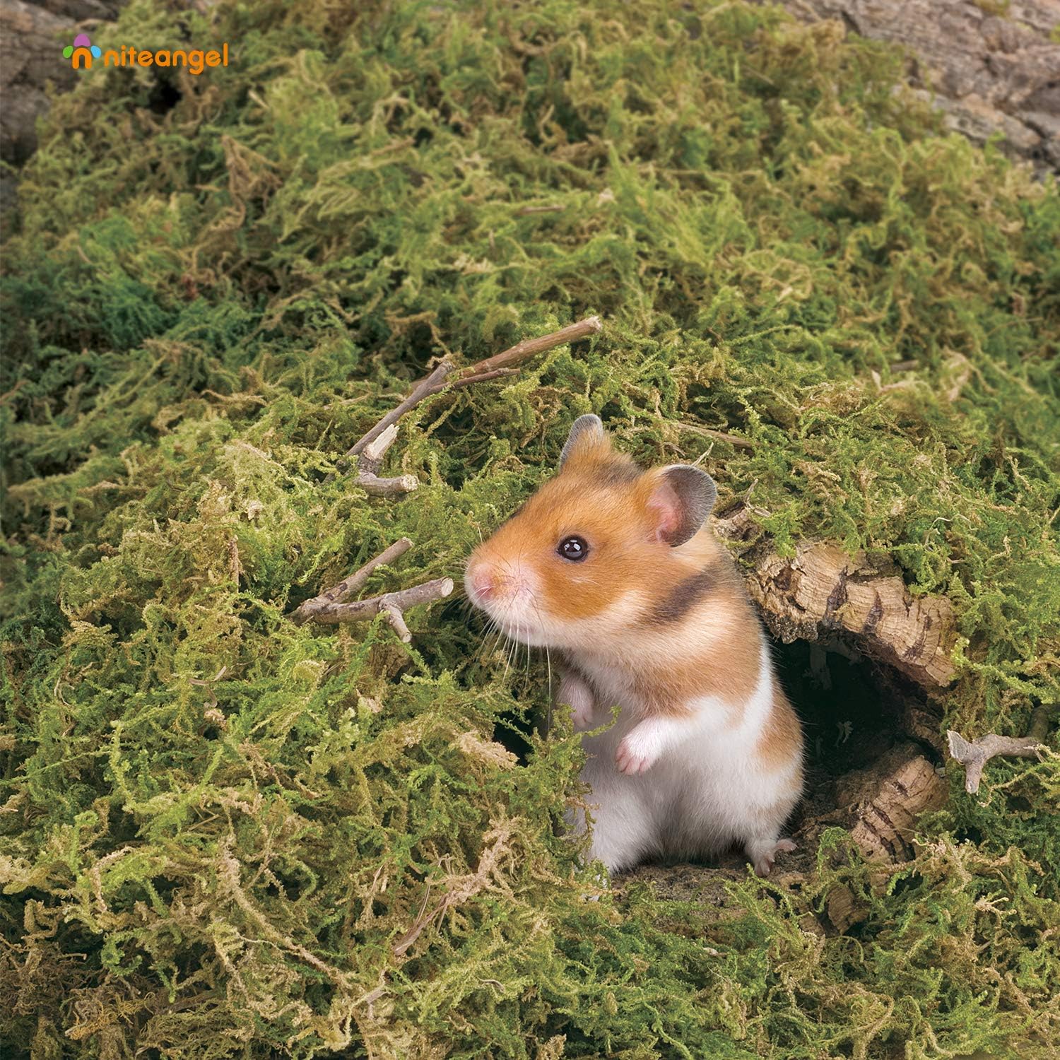 Niteangel 5L Forest Moss Soft Natural Moss Bedding Nesting for Dwarf Syrian Hamsters, Gerbils, mices, Degus or Other Small Animal - Happypetzone.online - Image 3
