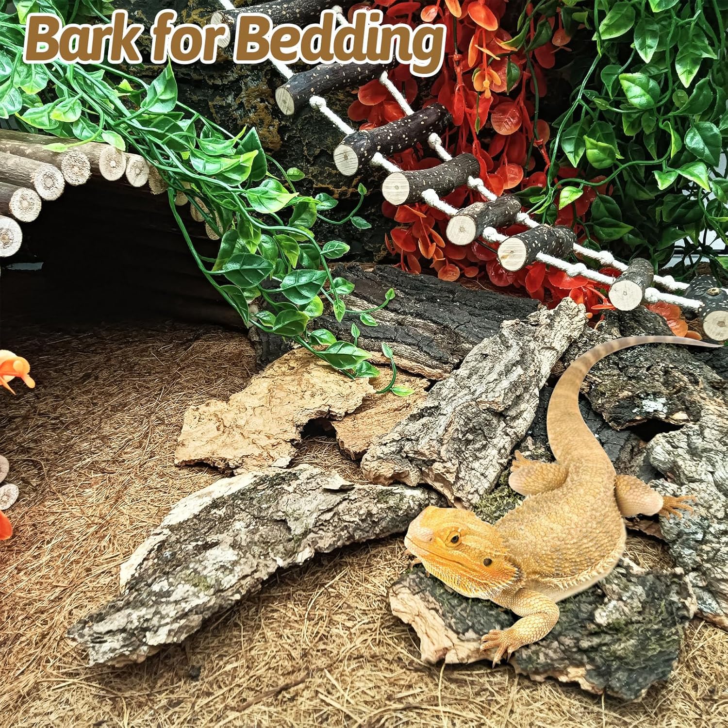 BNOSDM Reptile Cork Bark Substrate 1LB Tortoise Bedding for Habitat Natural Flat Cork Wood Bulk Terrarium Reusable Champagne Bark for Lizard, Crested Gecko, Spider, Chameleon, Ball Python, Tree Frog - Happypetzone.online - Image 3