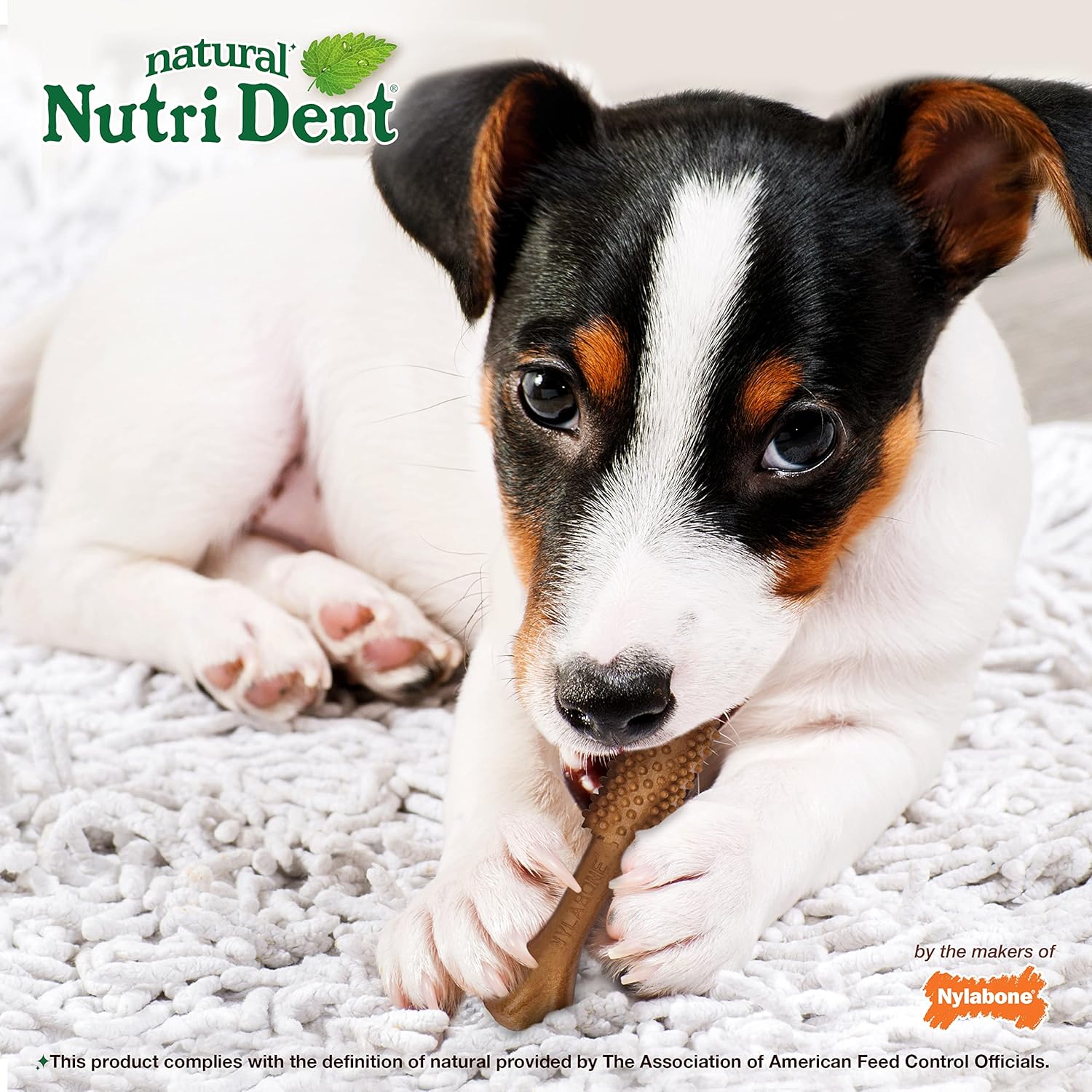 Nylabone Nutri Dent Dog Dental Chews - Natural Dog Teeth Cleaning & Breath Freshener - Dental Treats for Dogs - Filet Mignon Flavor, Small (28 Count) - Happypetzone.online - Image 6